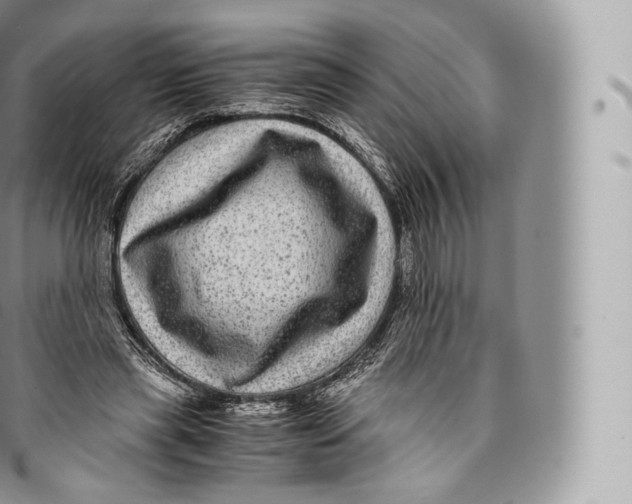 X0000096480445200802141725