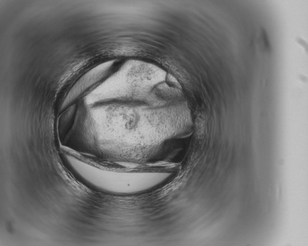 X0000096480446200802141726