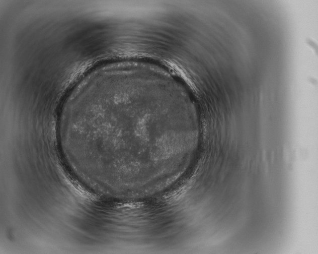 X0000096480447200802141726