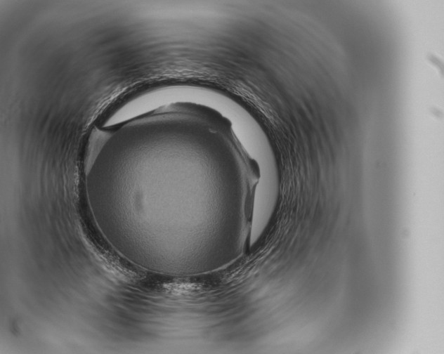 X0000096480448200802141726