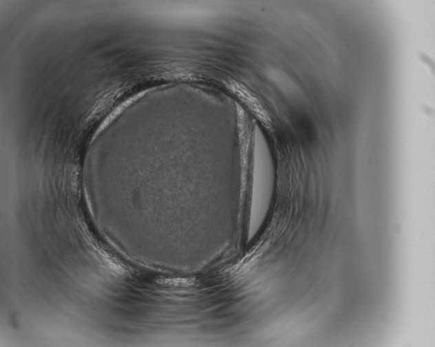 X0000096480449200802141726