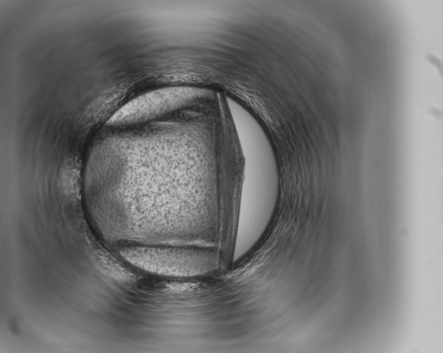 X0000096480450200802141726