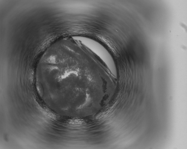 X0000096480451200802141726