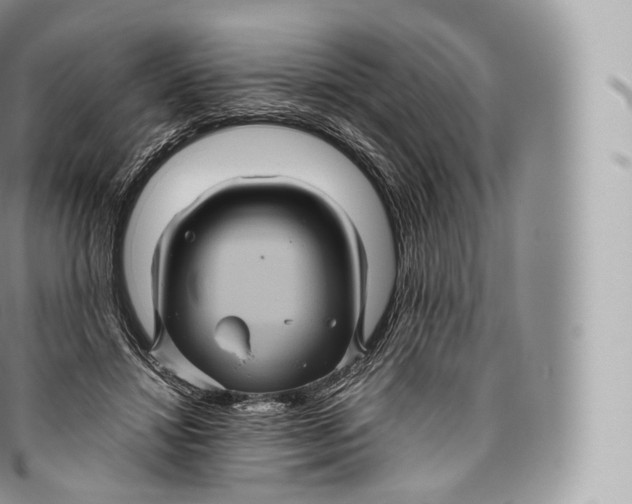 X0000096480452200802141726