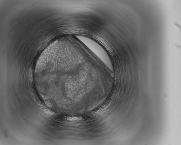 X0000096480453200802141726