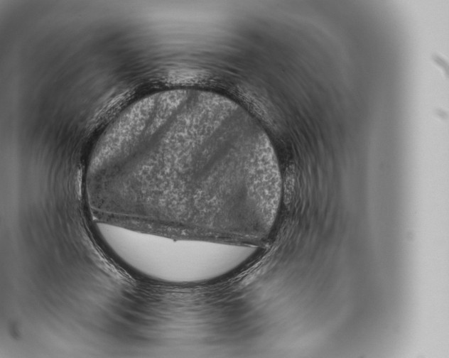 X0000096480454200802141726