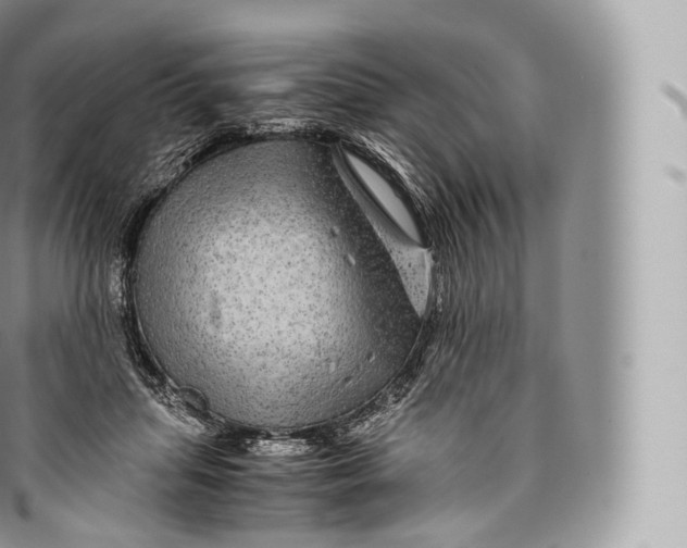 X0000096480455200802141726