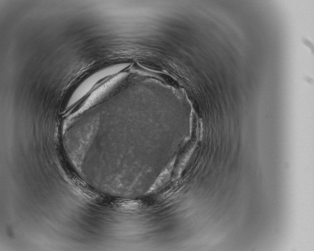 X0000096480456200802141726