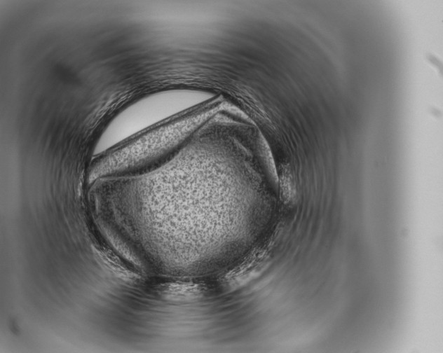 X0000096480458200802141726