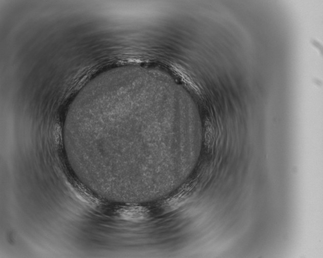 X0000096480459200802141726