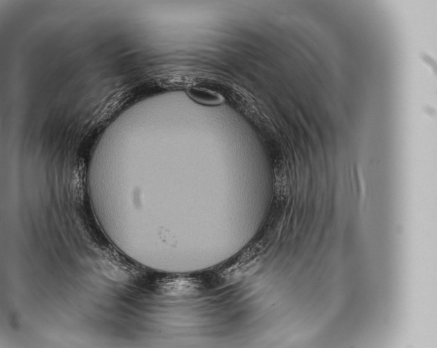 X0000096480460200802141726