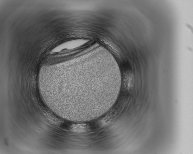 X0000096480461200802141726