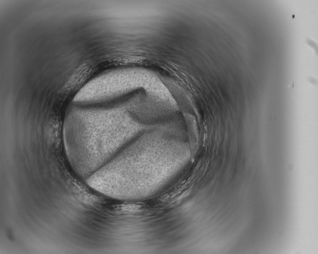 X0000096480462200802141726