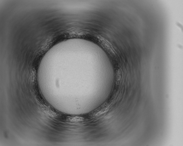 X0000096480463200802141726