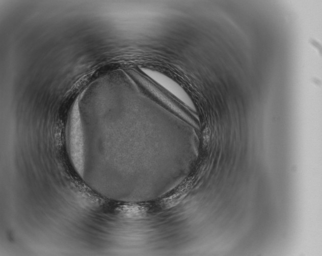 X0000096480464200802141726