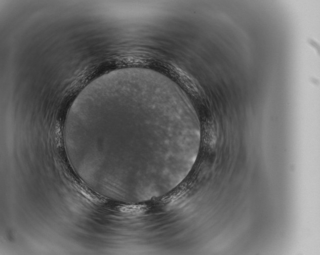 X0000096480465200802141726