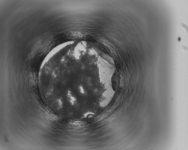 X0000096480467200802141726