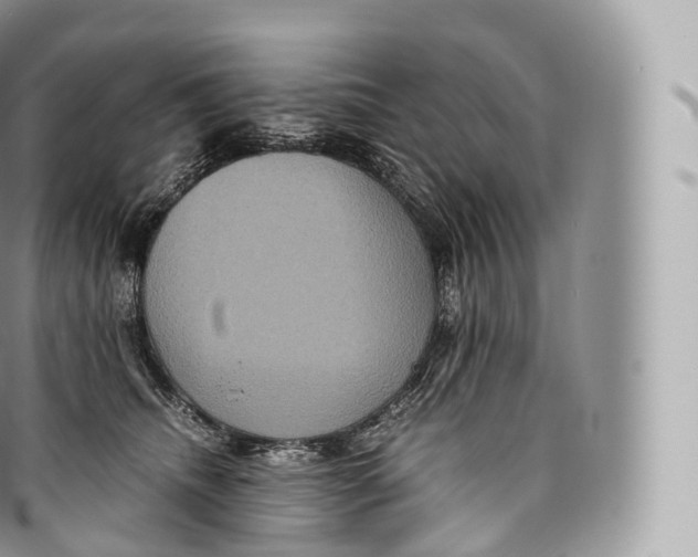 X0000096480468200802141726