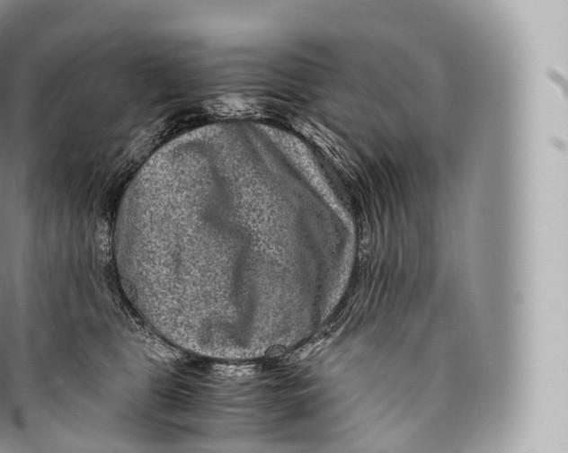 X0000096480469200802141726