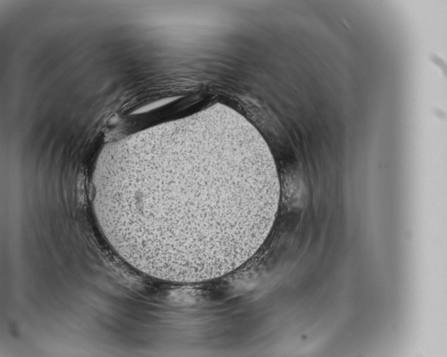 X0000096480470200802141726