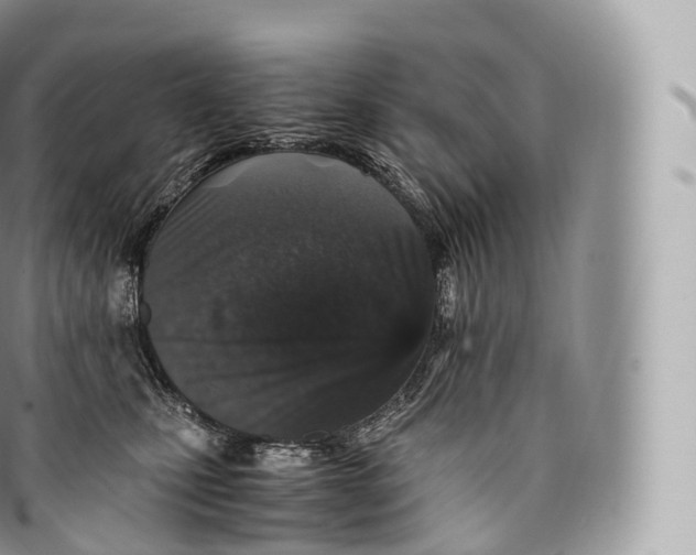 X0000096480471200802141726