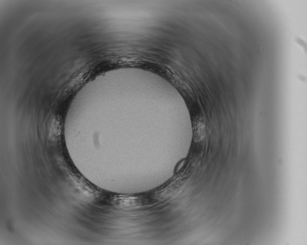 X0000096480472200802141726