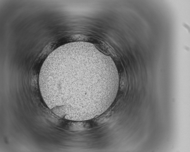 X0000096480473200802141726