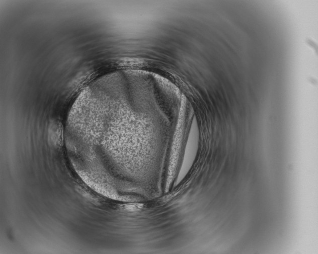 X0000096480474200802141726