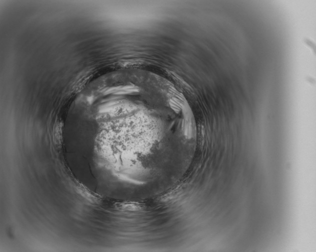 X0000096480475200802141726