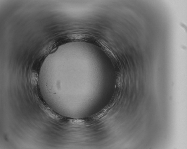 X0000096480476200802141726