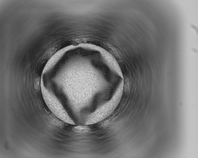 X0000096480477200802141726