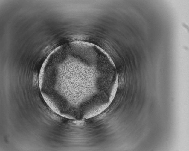 X0000096480478200802141726