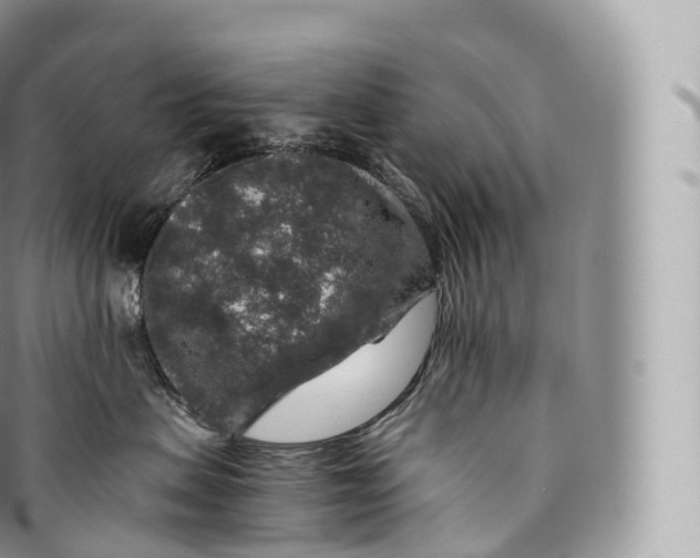 X0000096480479200802141726