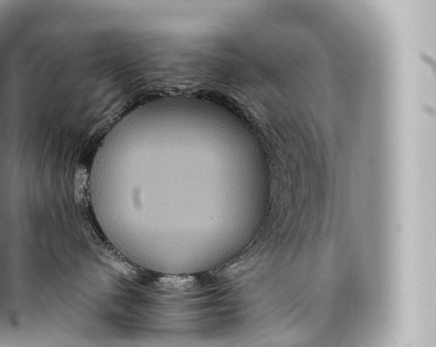 X0000096480480200802141726