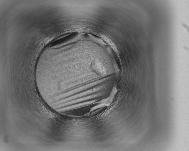 X0000096480481200802141725