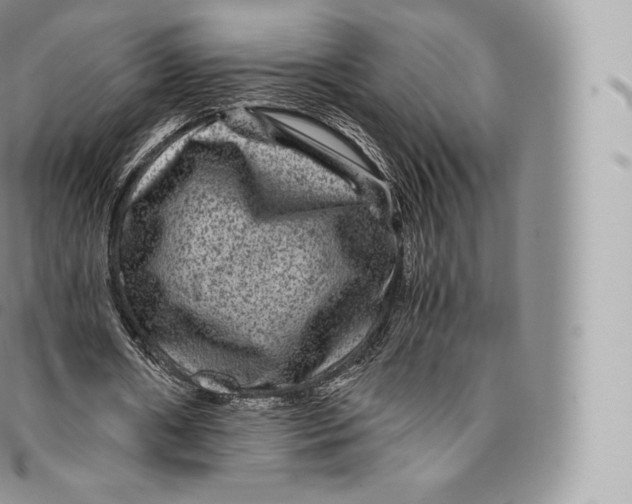 X0000096480482200802141725