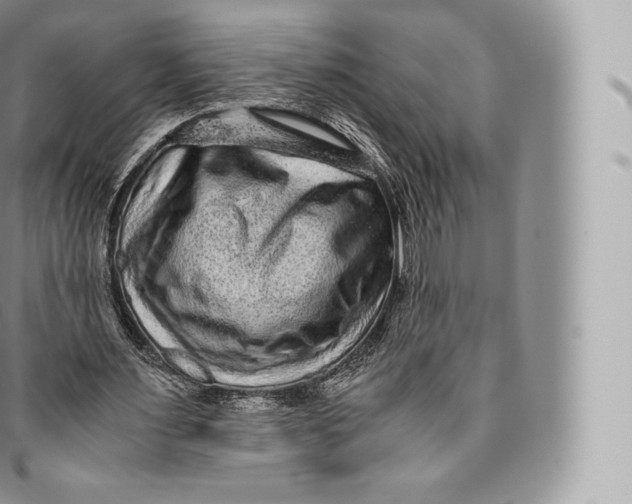 X0000096480483200802141725