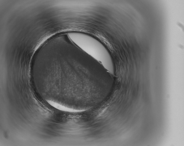 X0000096480484200802141725