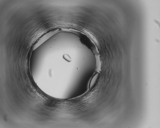 X0000096480485200802141725