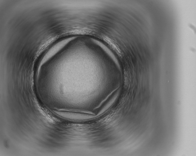 X0000096480486200802141725