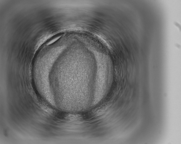 X0000096480487200802141725