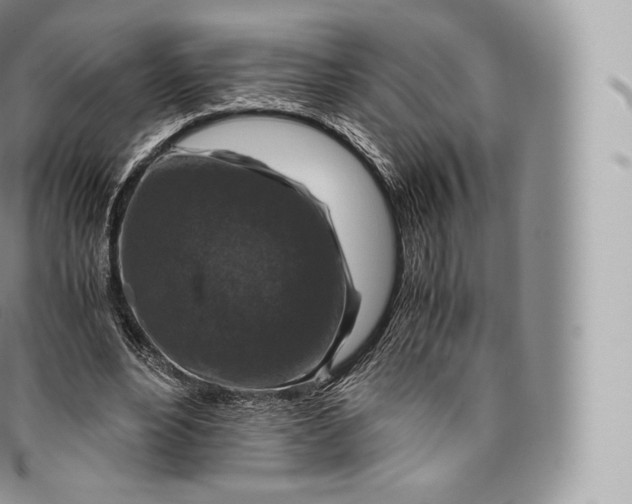 X0000096480488200802141725