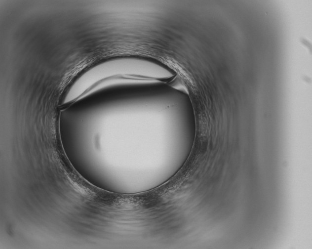 X0000096480489200802141725