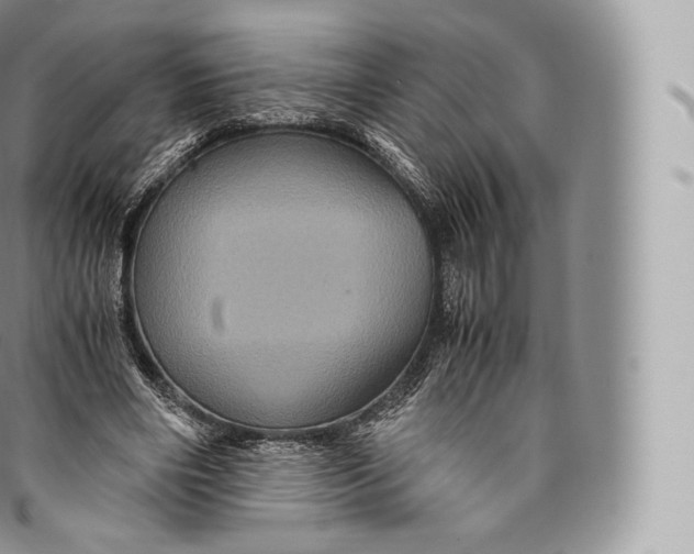 X0000096480490200802141725