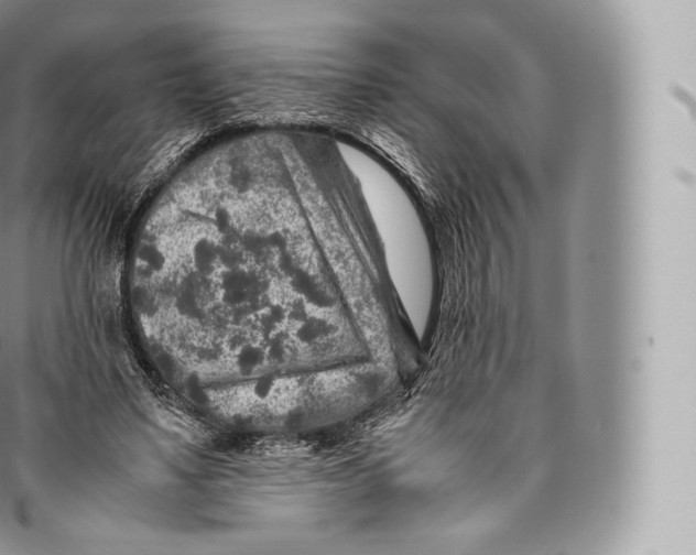 X0000096480491200802141725