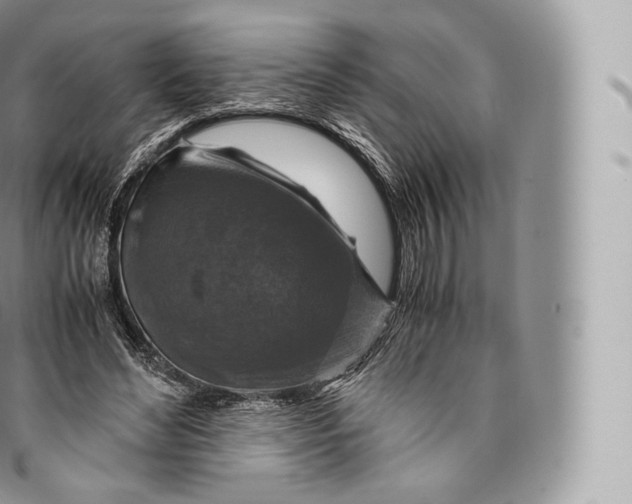 X0000096480492200802141725