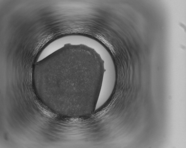 X0000096480493200802141725