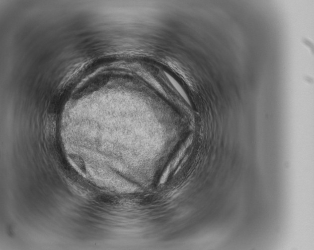 X0000096480495200802141725