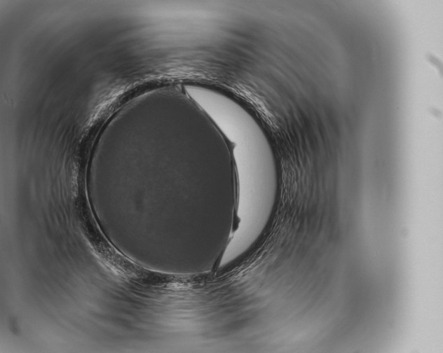 X0000096480496200802141725