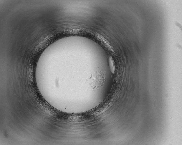 X0000096480497200802141725